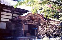 来迎寺菊桜の写真
