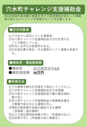 穴水町チャレンジ支援補助金チラシ表